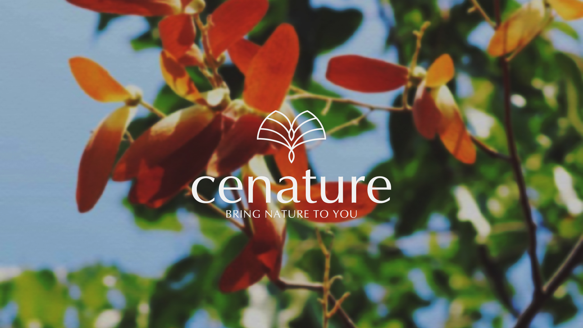 化妝品標(biāo)志設(shè)計