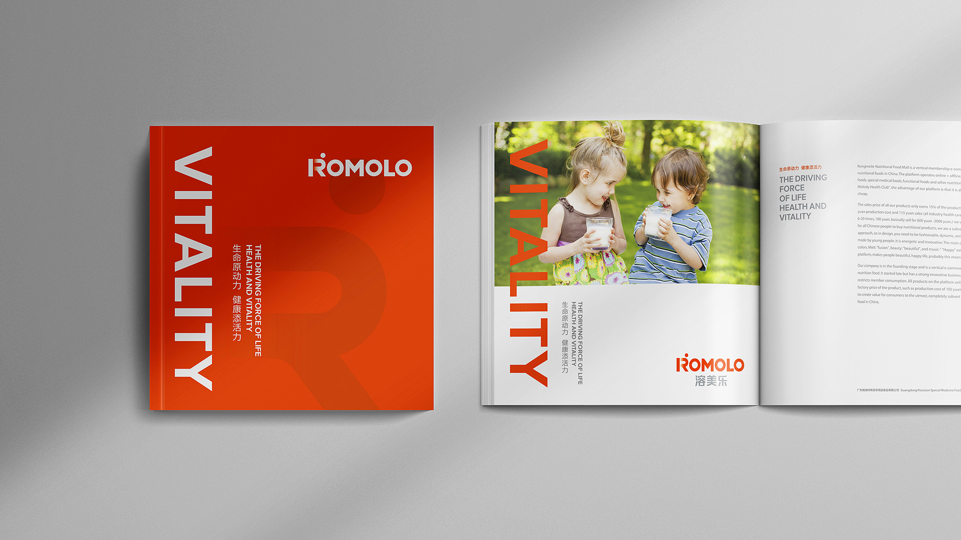 優(yōu)秀VI設(shè)計